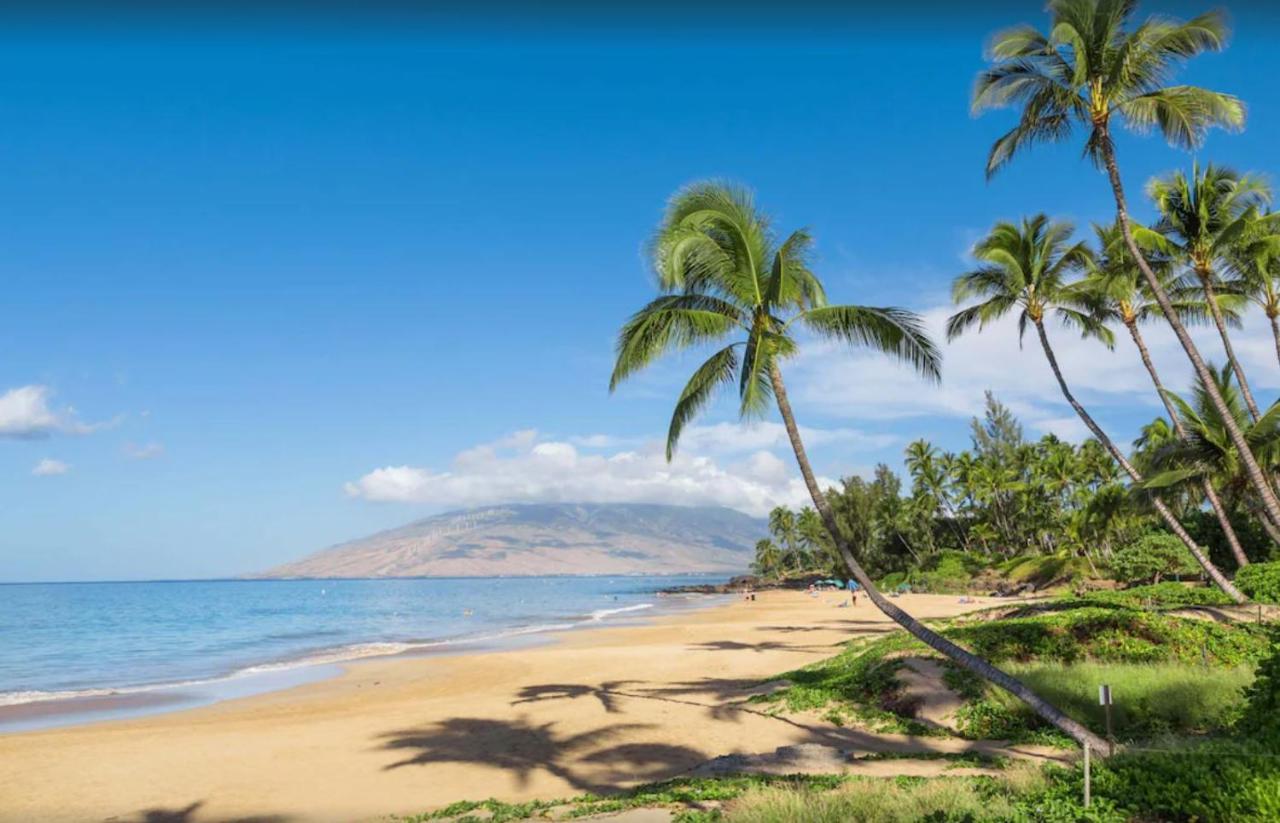 Tropical Maui Kamaole B-Bldg Lejlighed Wailea  Eksteriør billede