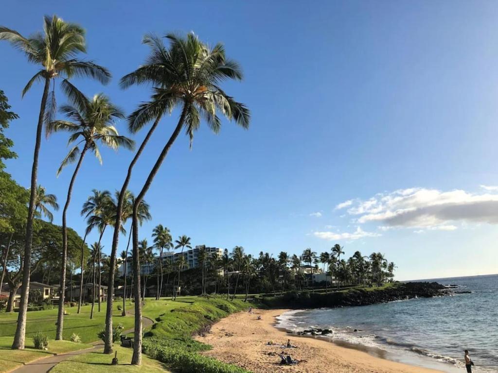 Tropical Maui Kamaole B-Bldg Lejlighed Wailea  Eksteriør billede