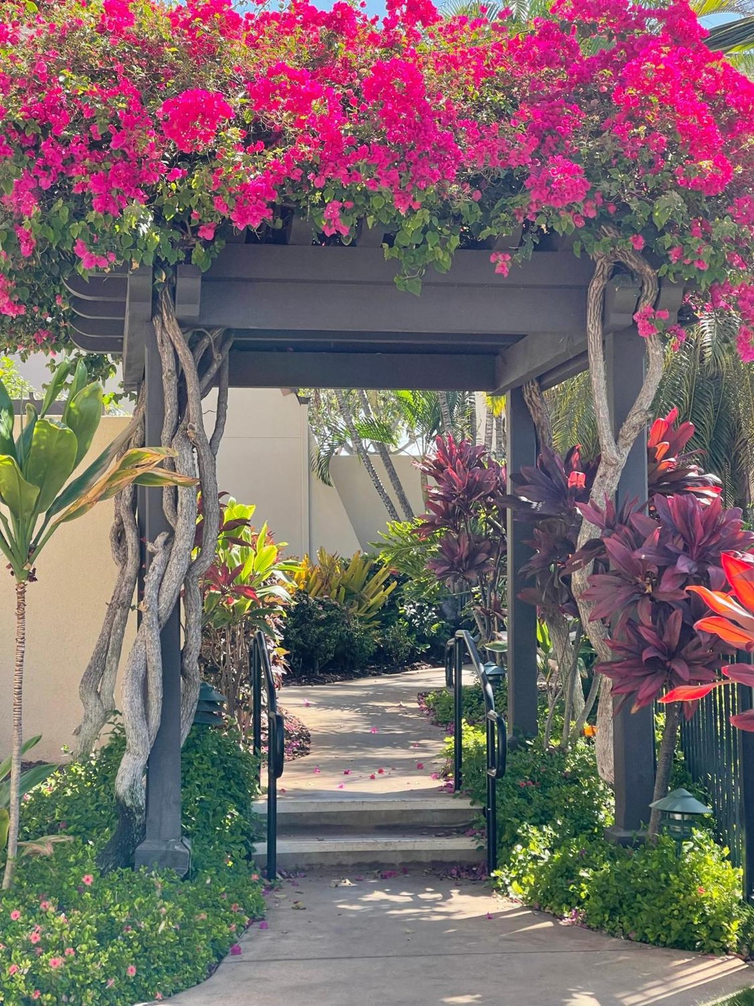 Tropical Maui Kamaole B-Bldg Lejlighed Wailea  Eksteriør billede