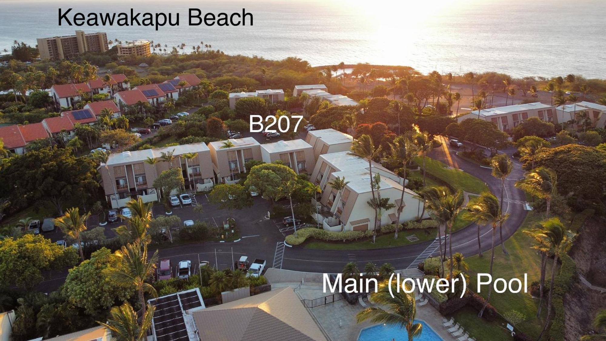 Tropical Maui Kamaole B-Bldg Lejlighed Wailea  Eksteriør billede